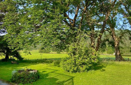 The Prince - Uk42204 - Foto 28