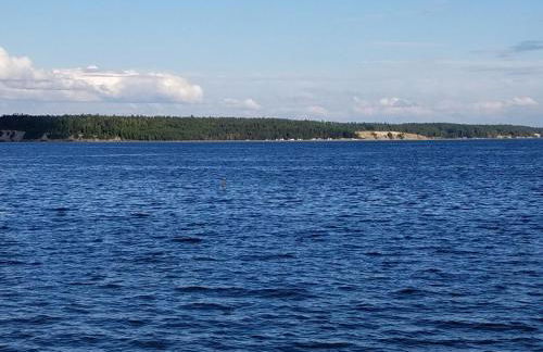 Multi Resorts at Kala Point - Foto 22