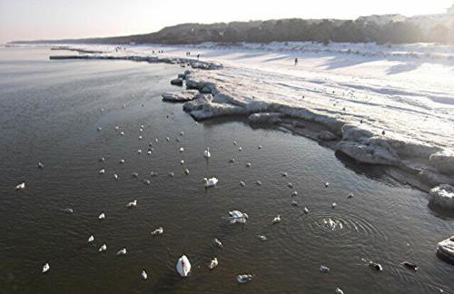 Ferienhaus mit Terrasse - Insel Usedom - Foto 53