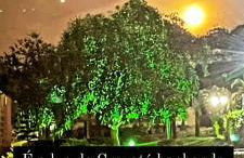 SUPER DUPLEX - ALTO PADRAO - FRENTE PISCINAS E PARQUE INFANTIL- 02 VAGAS DE GARAGEM - Winterville - Gravatá HORÁRIO GIGANTE - Foto 10