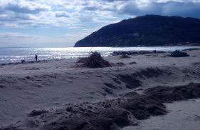 La Casa nel parco - Foto 27