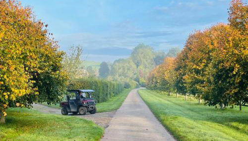 Cocklebury Farm - Foto 5