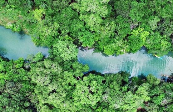 16 Son's Geronimo - Birdhouse Cabin - Foto 72