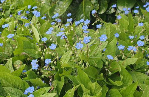 Ferienwohnung Luft und Erde - Foto 18