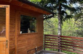 Chalet Leonard House in the wood - Foto 28