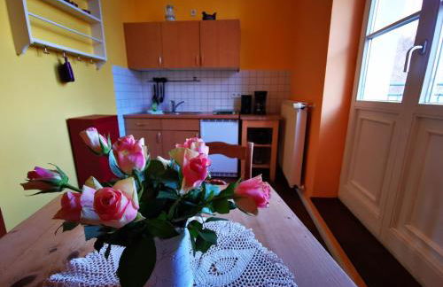 Haus Seenland - Foto 43