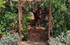 Finca Gamundi - Foto 33