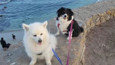 Goarges Tiny Home! - Foto 4