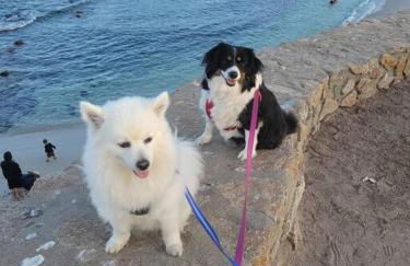 Goarges Tiny Home! - Foto 4