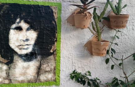 Zagara di Sicilia - Foto 102