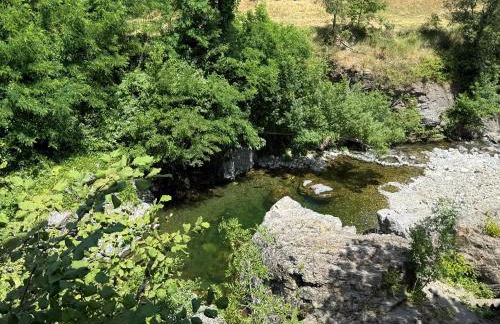 Les Cèdres - Foto 61
