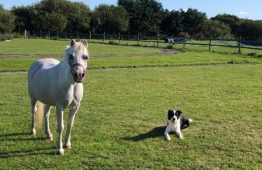 Formby Point - Foto 12