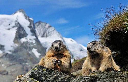 APPARTEMENT ANCELLE - Foto 14