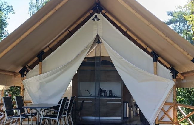 1 bedroom House in IJhorst with swimming pool and terrace - Photo 5