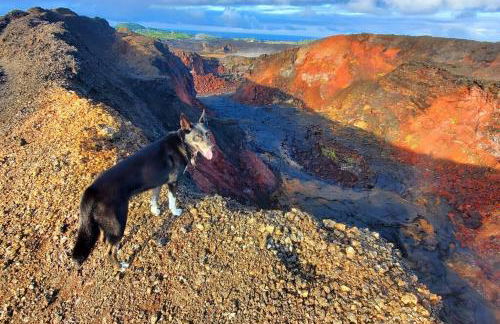 Unique Lava House by steaming crater - Photo 39