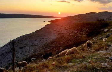 Apartman Jopa - Foto 7