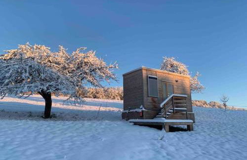 Garnecker Galloways - Foto 17