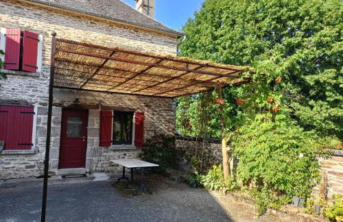 Edredons et champignons - Foto 1