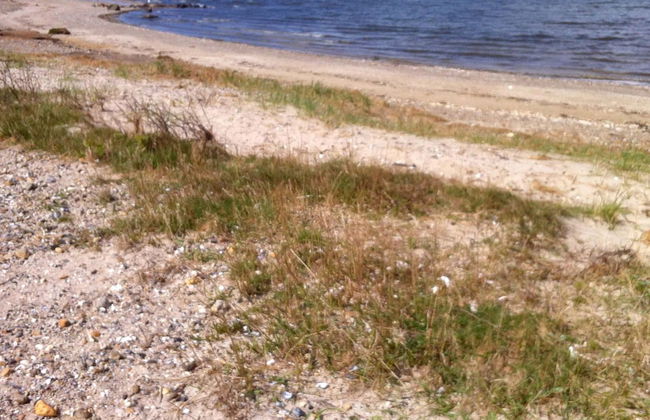 "Elis" - 90m to the fjord - Foto 9