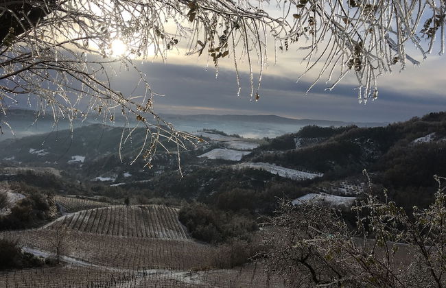 Cascina Bertolotto Wine Resort. - Foto 34