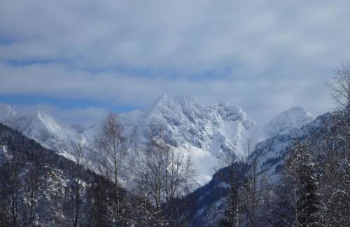 Waldhäusle - Photo 14