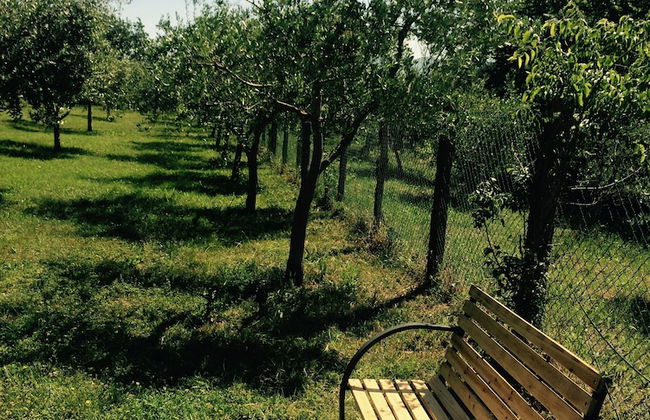 Bio Agriturismo Valle dei Calanchi - Foto 56