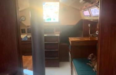 Sailboat Experience in Annapolis - Foto 11