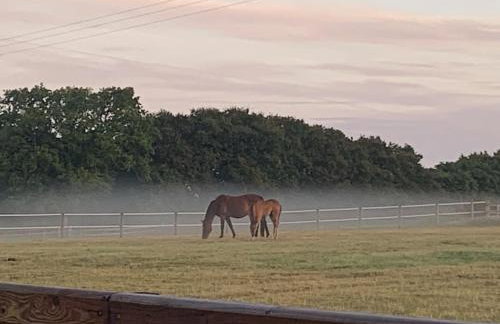 The Paddocks - Spacious annexe with rural outlook. - Foto 1