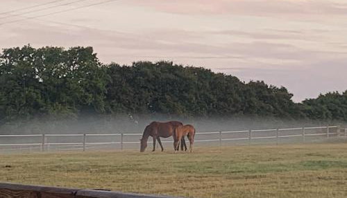 The Paddocks - Spacious annexe with rural outlook. - Foto 1
