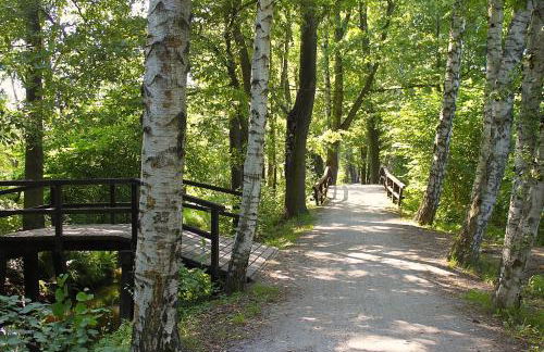 Spree Chalet "Heubodensuite" adults only - Foto 22