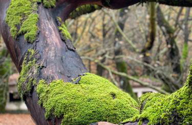 Mountain Hotels "Aroanides" - Foto 38