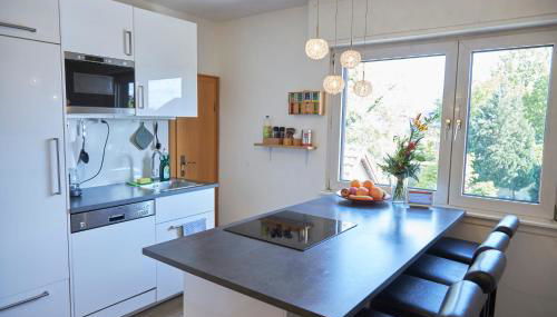 Großzügiges Apartment nahe Frankfurt - Foto 2, stove, dishwasher, minibar