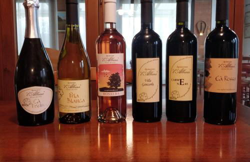 Agriturismo L'Albara - Wines, Pool & SPA - Foto 47