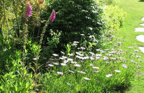 Lower Great Torr - Foto 32