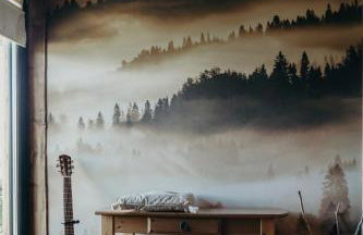 Mech i brzoza - Foto 40