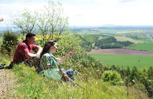 One-bedroom apartment - Foto 14