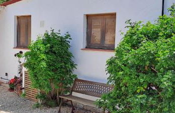 Finca Gamundi - Foto 35