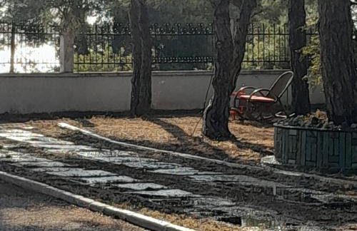 Costa Mama VIlla - Photo 40