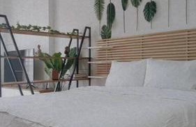 Φρίντα στο κέντρο της Ορεστιάδας - Foto 9