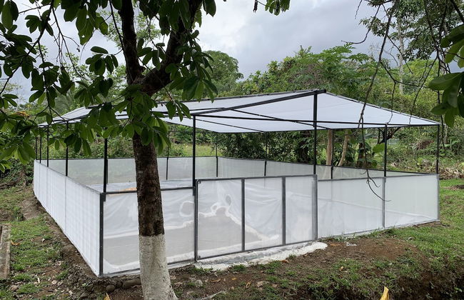 TIPS Vacation - Foto 39