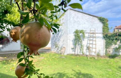 Casa Delicosta- 2 Flat Country house with garden, 15 min from Trikala - Foto 48