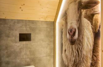 Domki GliczarowSKI z Jacuzzi & Sauna - Photo 20