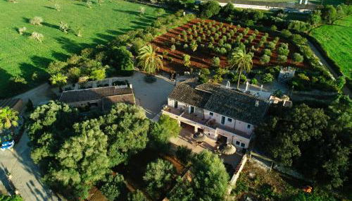 Agroturismo Fincahotel Son Pou AG/322 - Foto 5, Garden view