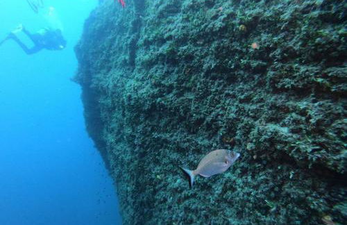 Calasol - Moderno Apartamento en Cala de Finestrat - Foto 26