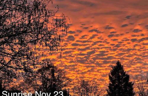 Linden Suite - Foto 49