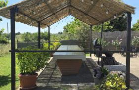 Country House L'Oliveto - Foto 3