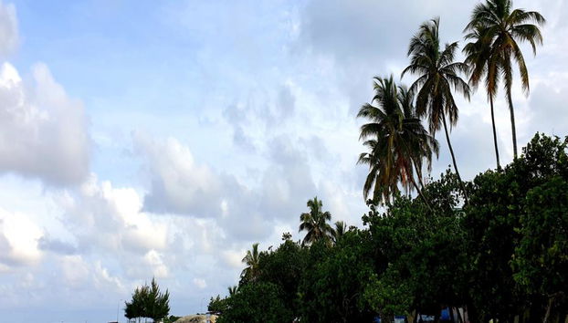 South Male Island Hopping - Photo 5