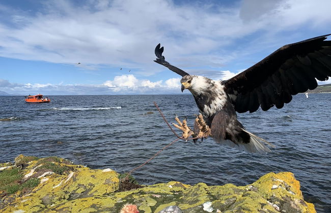 Glenapp Castle - Foto 55