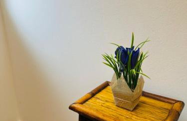 Apartments Paradise - Foto 46