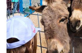 Villa Suzi - Family Farm Stay with Donkeys, Pool and Sea View near Rijeka - Foto 1